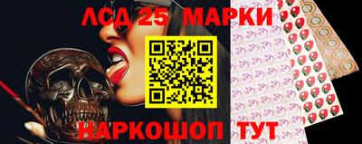 стаф Донецк