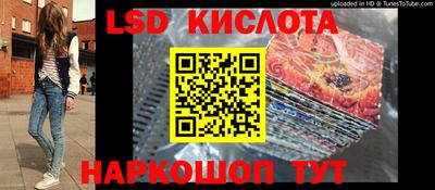 стаф Донецк
