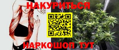 стаф Донецк